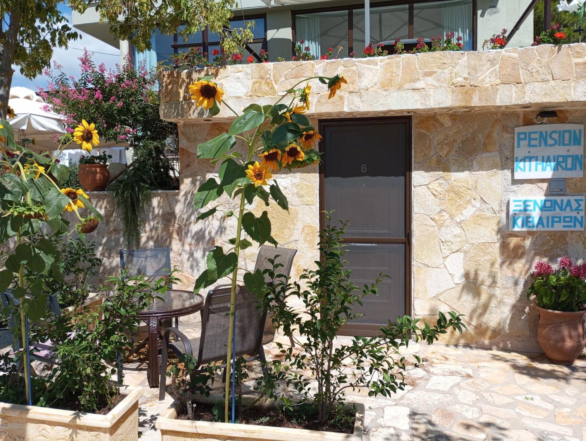 Xenonas Κithαiron Hotel Vilia Bagian luar foto