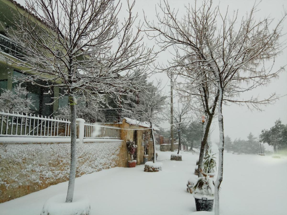 Xenonas Κithαiron Hotel Vilia Bagian luar foto