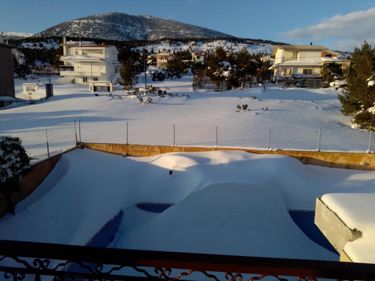 Xenonas Κithαiron Hotel Vilia Bagian luar foto